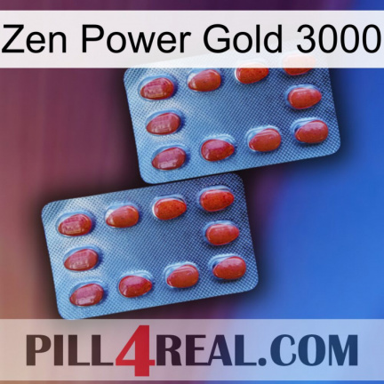 Zen Power Gold 3000 05